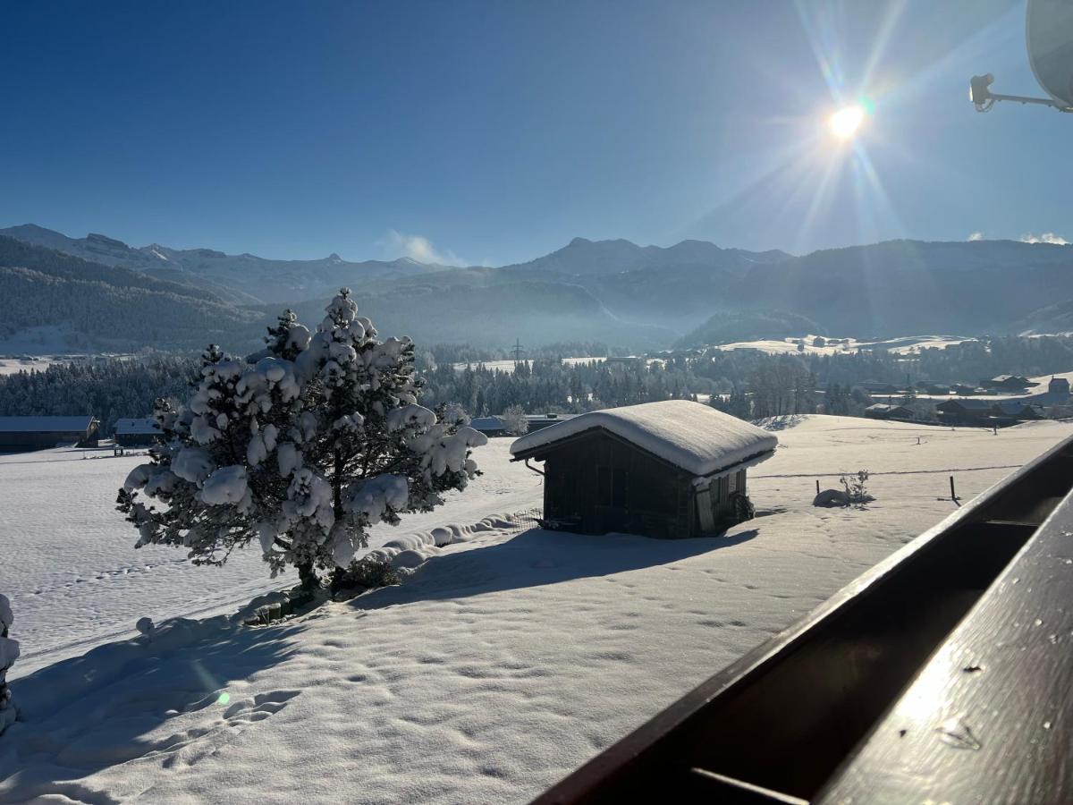 Panorama * Egg